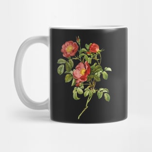 Vintage Rose Mug